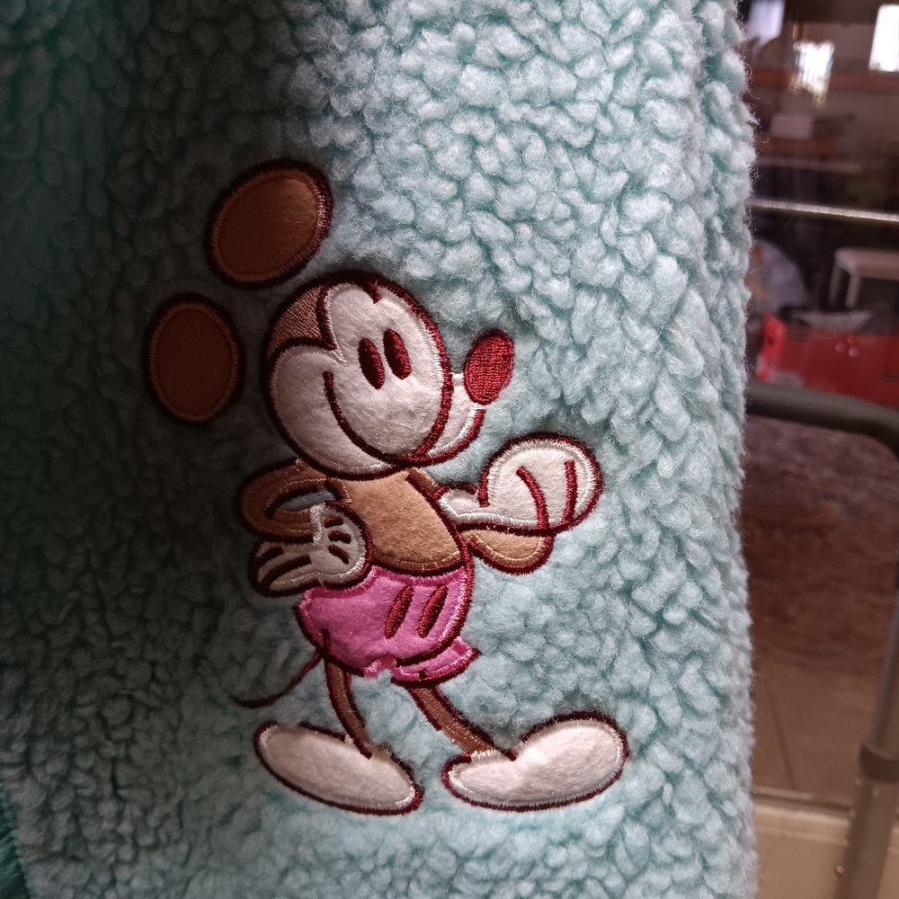 Disney Jacket - Picture 3 of 9